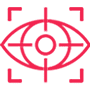 vision